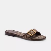 Color 16